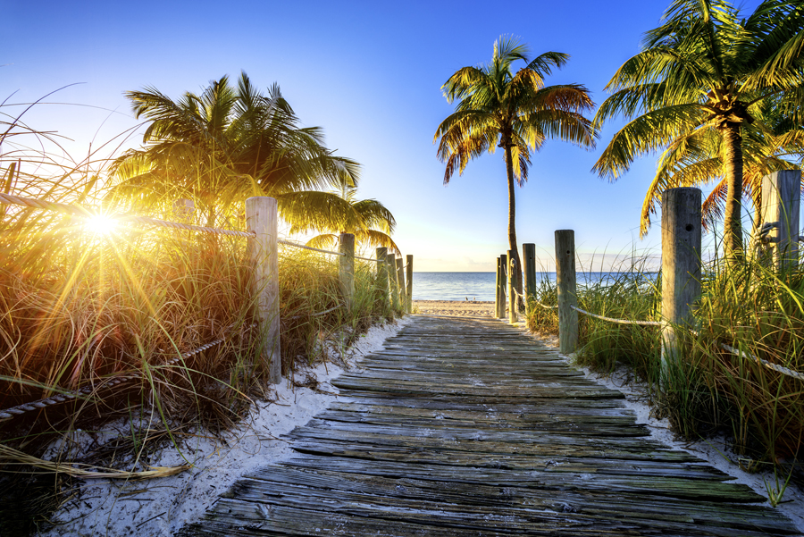 Wooden walkway towards beach with palm trees