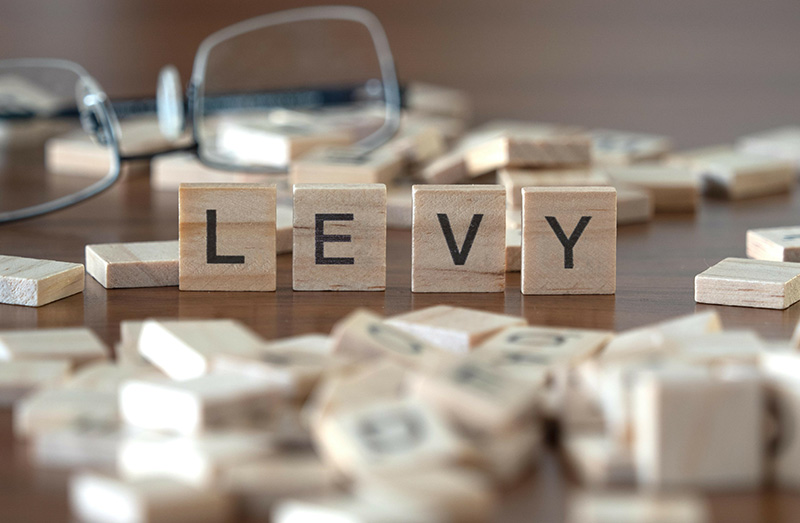 Levy written on wooden tiles