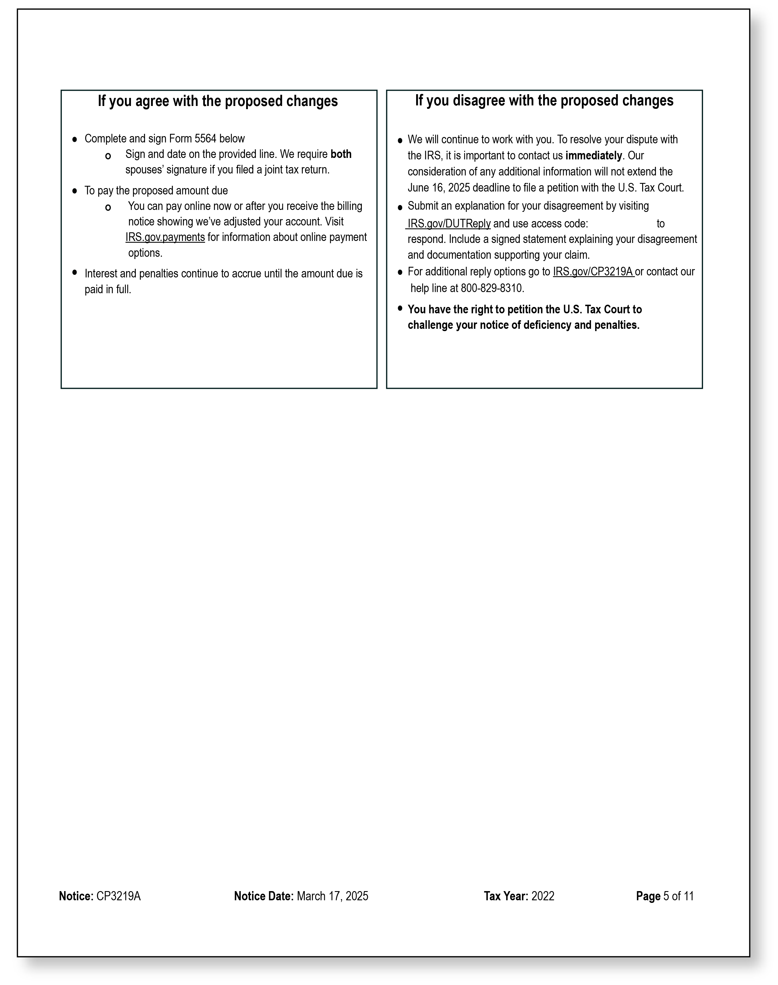 IRS Audit Letter CP3219A - Sample 3