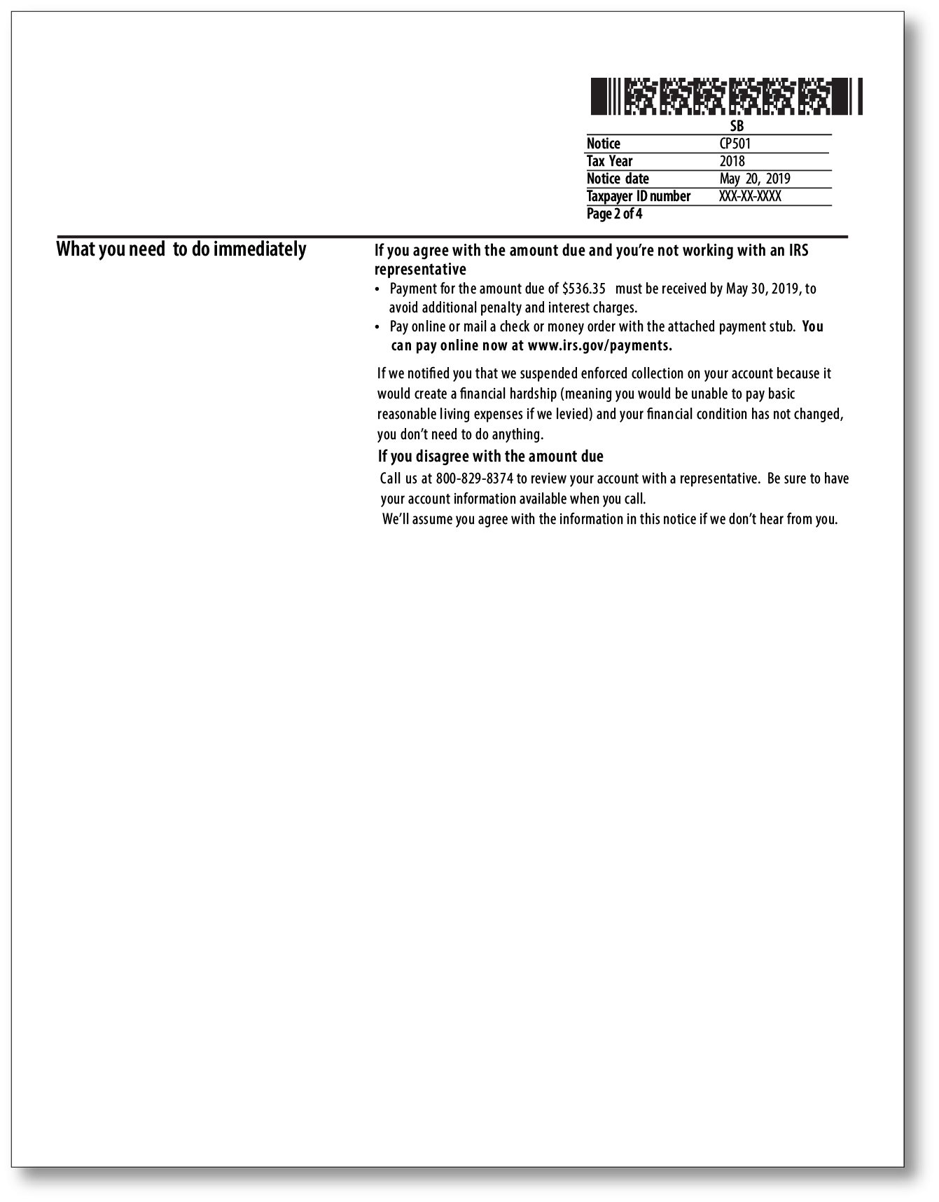 IRS Audit Letter CP501 – Sample 1
