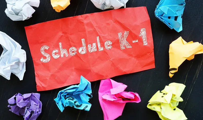 Schedule K-1
